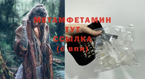 стаф Вязники